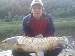 Amur