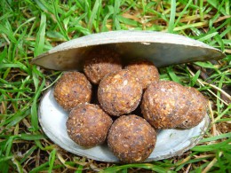 BIGBAITS BOILIES