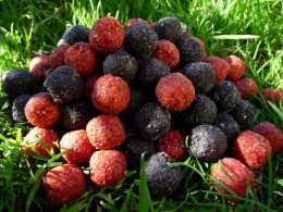 BIGBAITS BOILIES