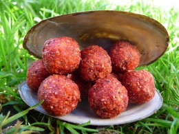 BIGBAITS BOILIES