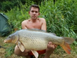 Kapři