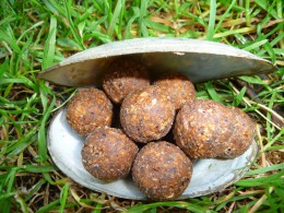 Boilies  BIG LANGUSTA