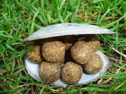 Boilies BIG BAITS