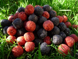 Boilies BIG BAITS ECONOMIC