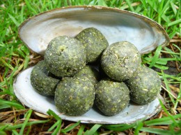 Boilies BIG LABSKÝ LOSOS