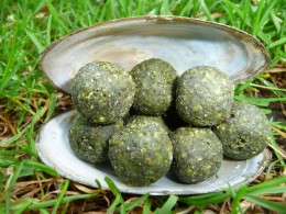 Boilies BIG LABSKÝ LOSOS